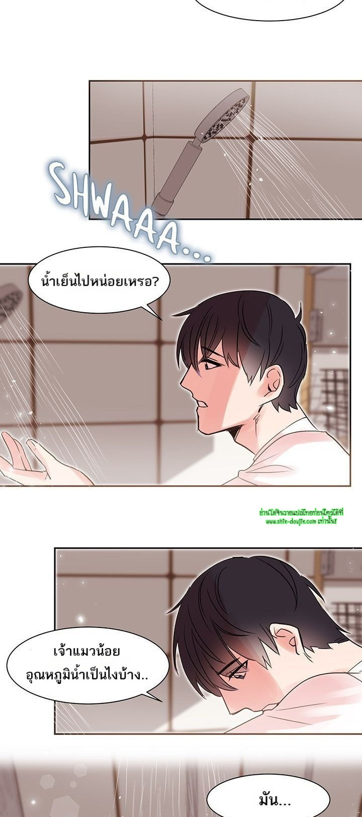 Cat in a Cardboard Box EP 9
